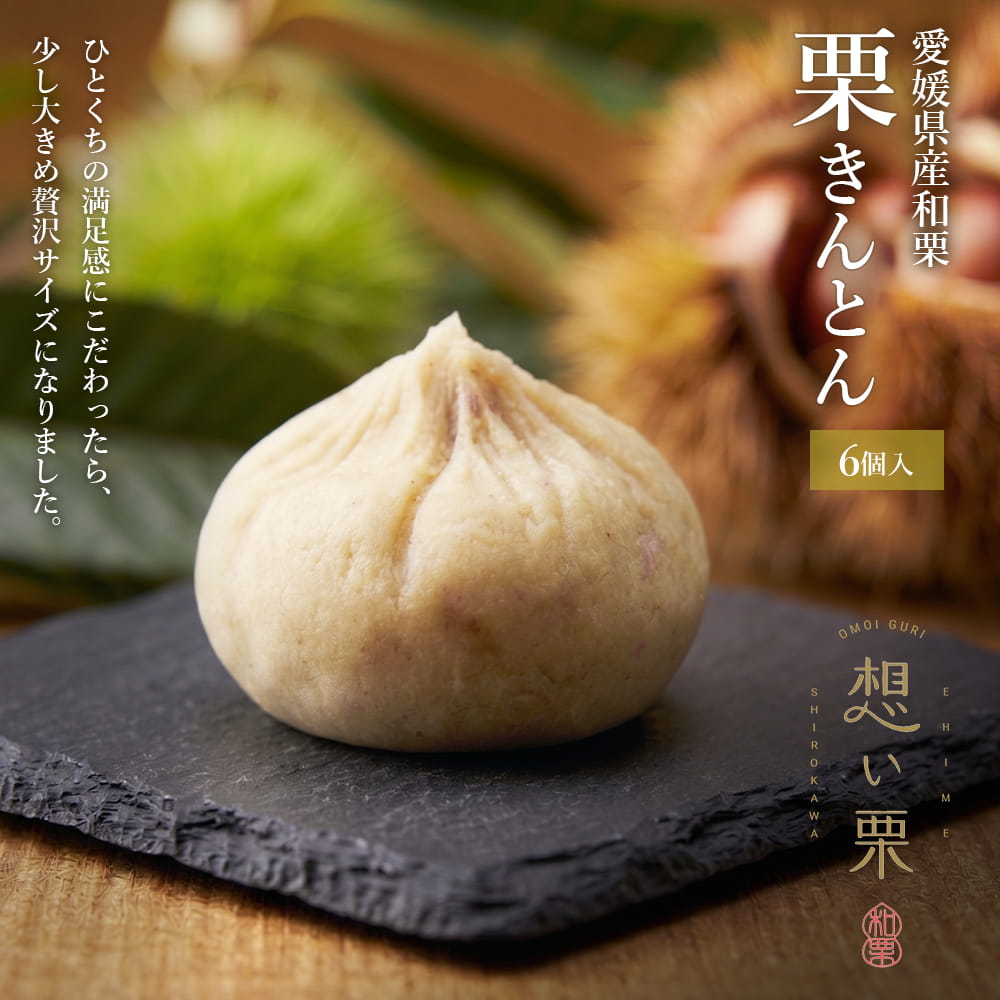 栗きんとん 6個入り ひとつひとつ手作り
