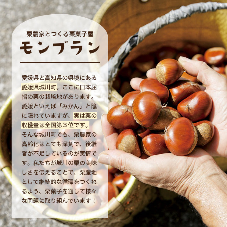 栗産地のモンブラン【3個入】