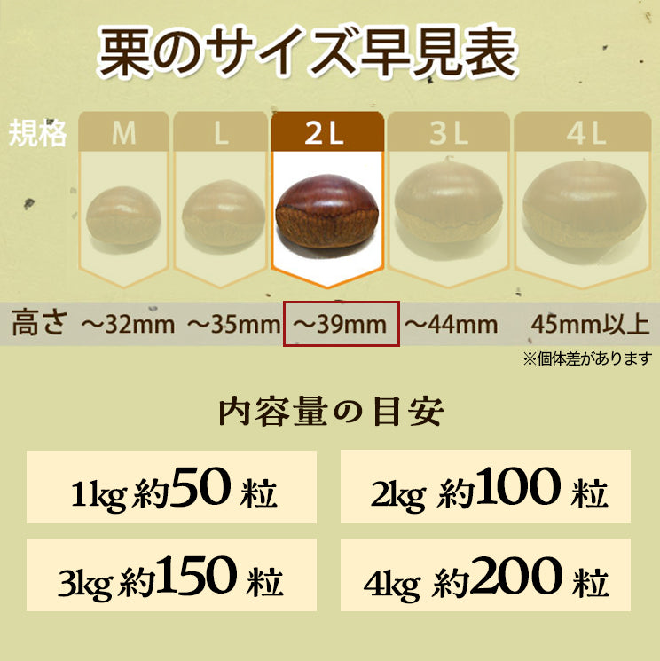 ＼今年の生栗 ご予約受付中／【9月中旬～発送】愛媛県城川町産銀寄栗（生栗）2L・3Lサイズ（1kg～4kg） 愛媛県 西予市 城川町【ご予約順に発送】