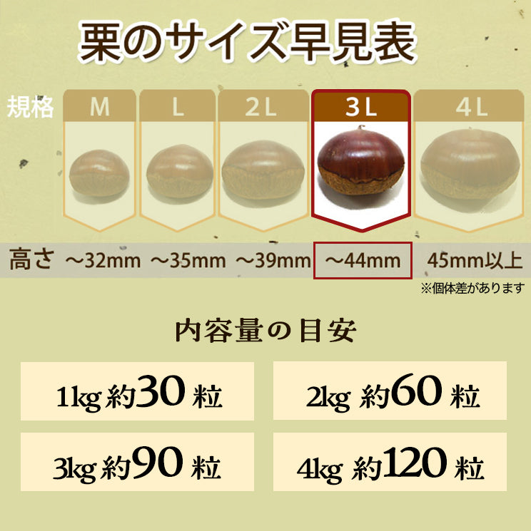 ＼今年の生栗 ご予約受付中／【9月下旬～発送】愛媛県城川町産生栗 大粒3Lサイズ（1kg～4kg） 愛媛県 西予市 城川町【ご予約順に発送】