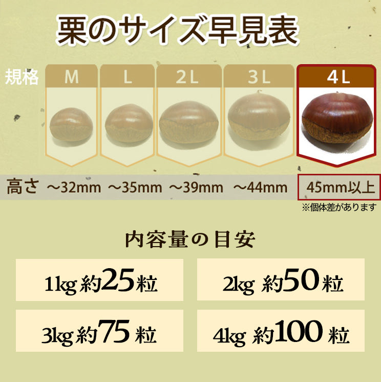 ＼今年の生栗 ご予約受付中／【9月下旬～発送】愛媛県城川町産生栗 特大粒 4Lサイズ（1kg～4kg） 愛媛県 西予市 城川町【ご予約順に発送】