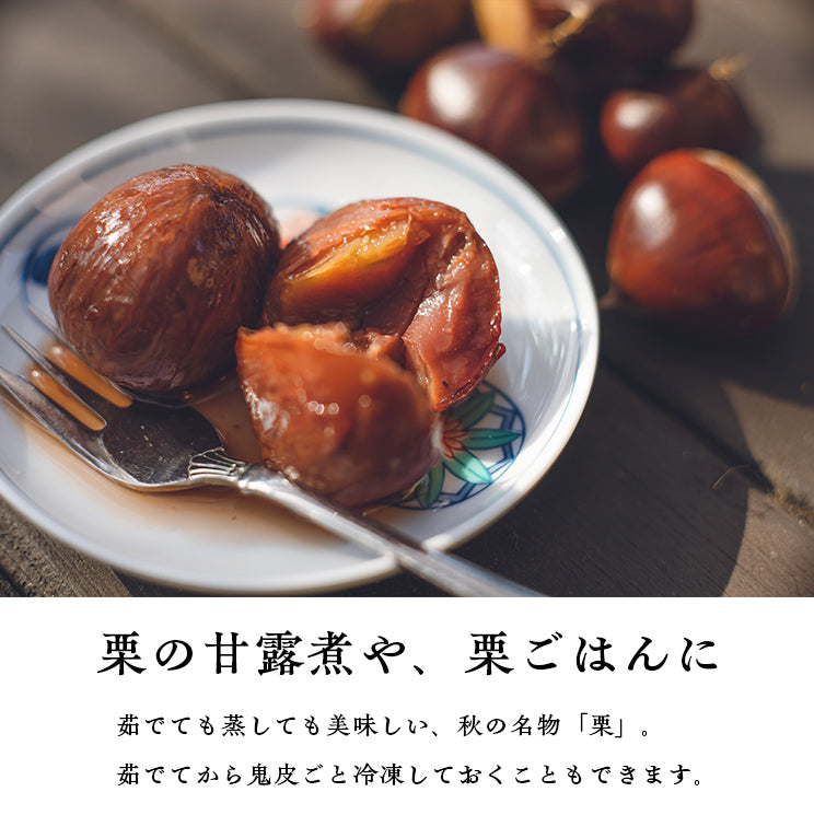 ＼今年の生栗 ご予約受付中／【9月下旬～発送】愛媛県城川町産生栗 大粒3Lサイズ（1kg～4kg） 愛媛県 西予市 城川町【ご予約順に発送】