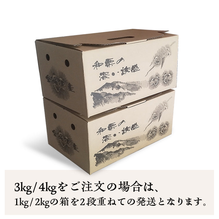 ＼今年の生栗 ご予約受付中／【9月下旬～発送】愛媛県城川町産生栗 大粒3Lサイズ（1kg～4kg） 愛媛県 西予市 城川町【ご予約順に発送】