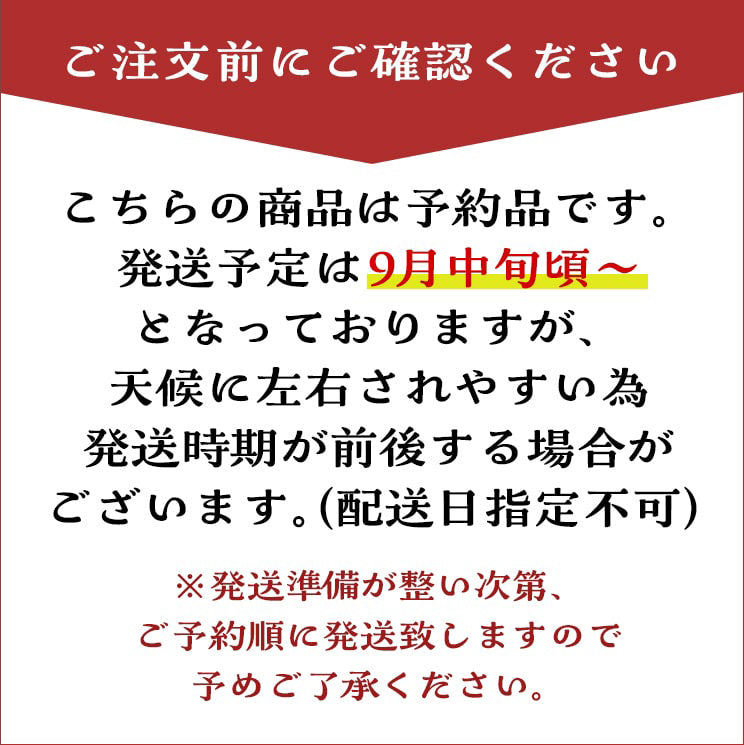 ＼今年の生栗 ご予約受付中／【9月中旬～発送】愛媛県城川町産銀寄栗（生栗）2L・3Lサイズ（1kg～4kg） 愛媛県 西予市 城川町【ご予約順に発送】