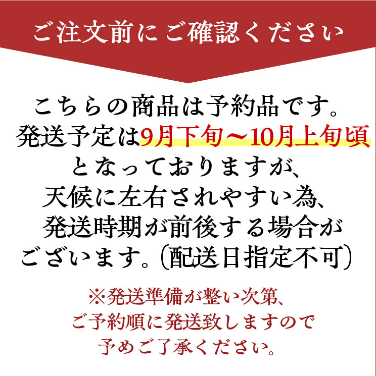 ＼今年の生栗 ご予約受付中／【9月下旬～発送】愛媛県城川町産生栗 大粒3Lサイズ（1kg～4kg） 愛媛県 西予市 城川町【ご予約順に発送】